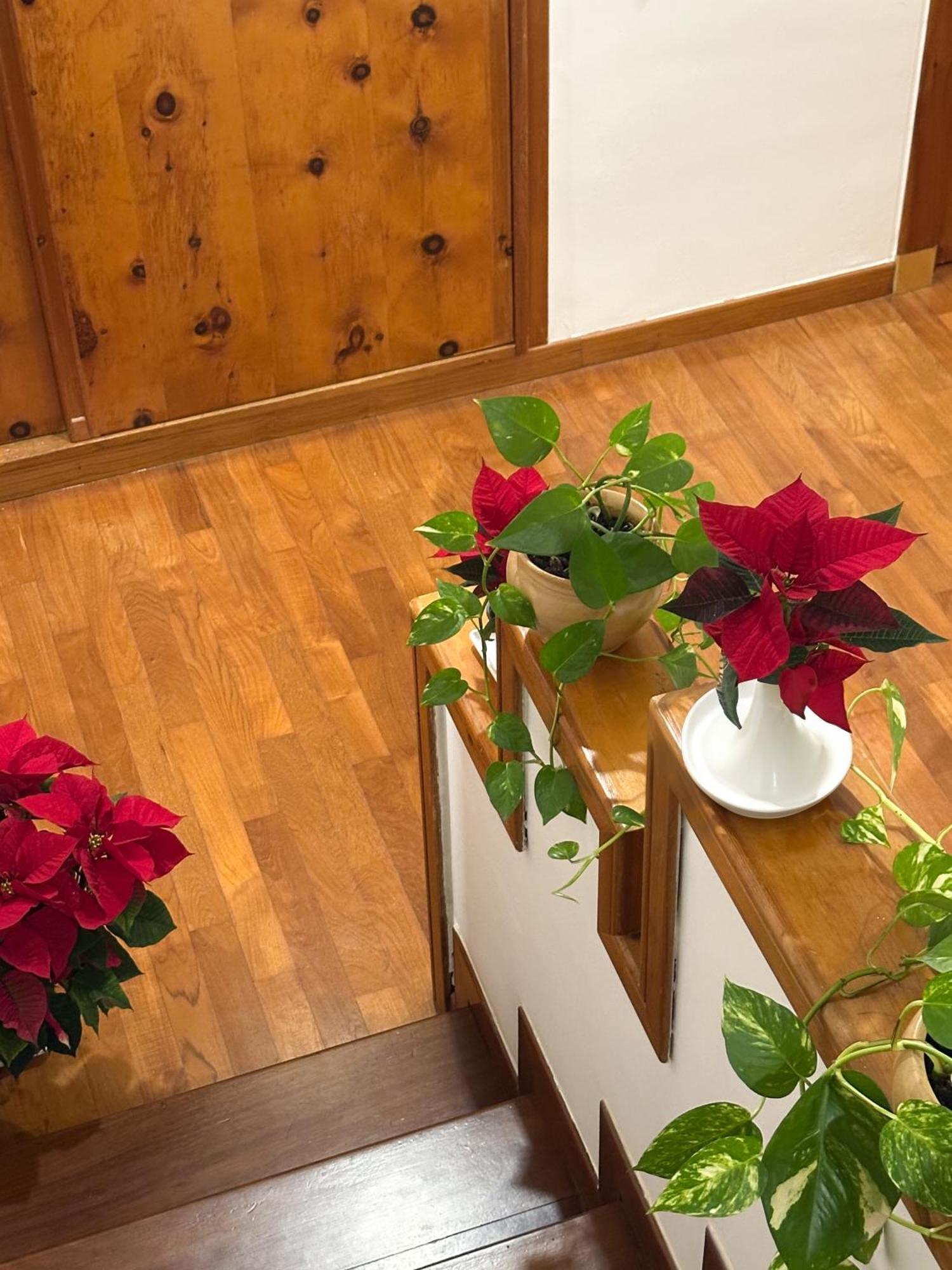 B&B Le Foglie D'Ulivo Bari Luaran gambar