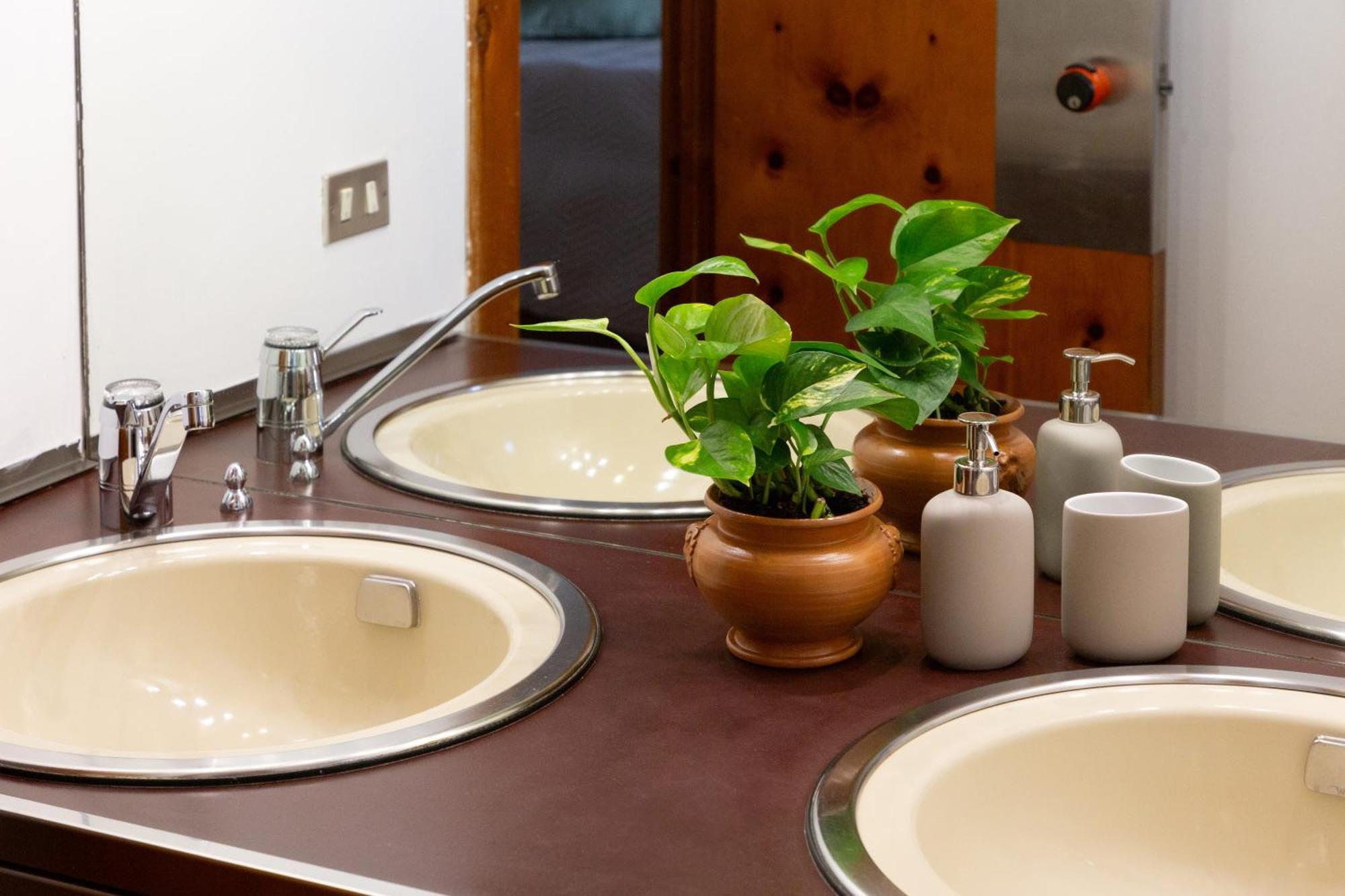 B&B Le Foglie D'Ulivo Bari Luaran gambar