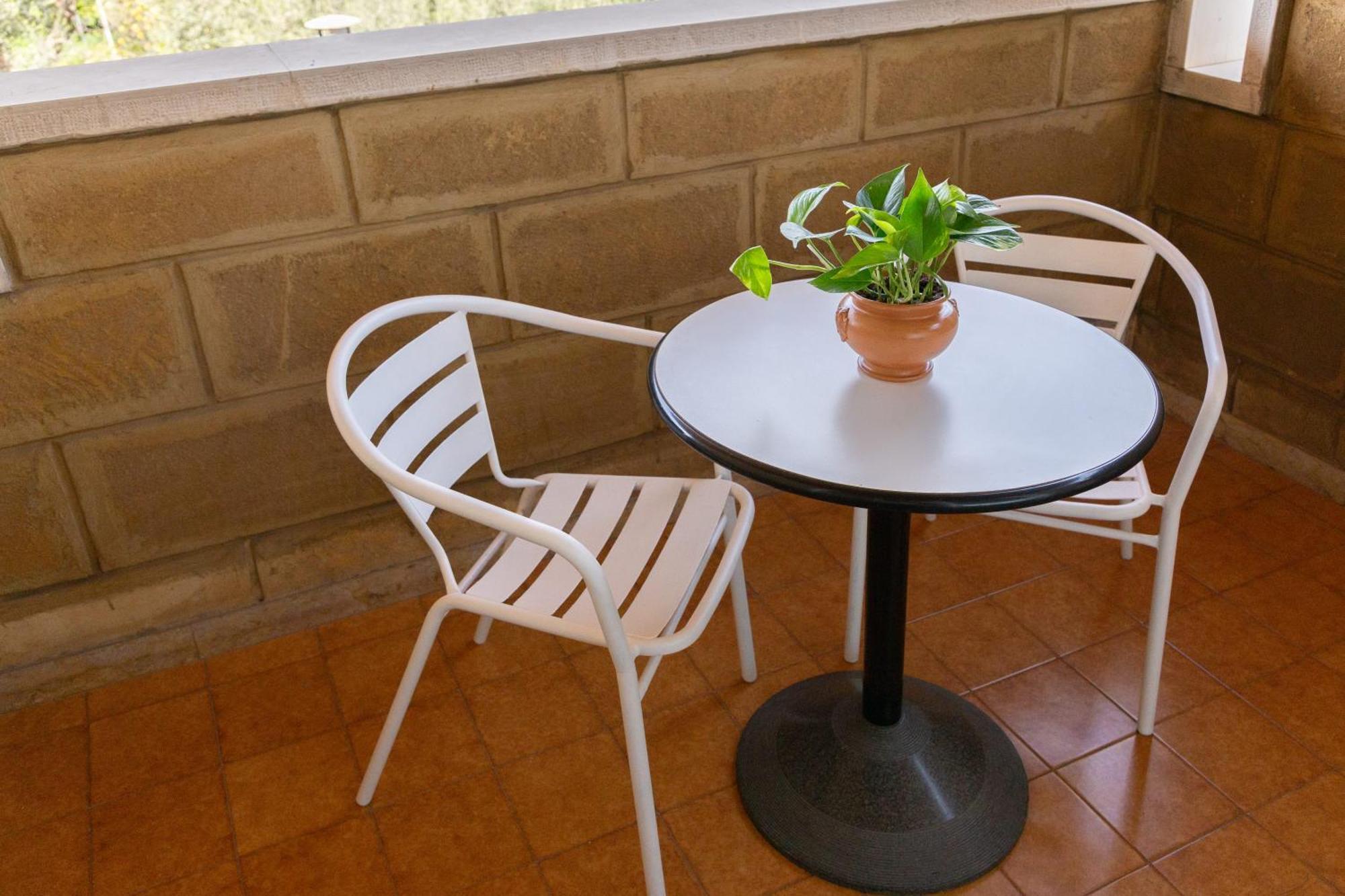 B&B Le Foglie D'Ulivo Bari Luaran gambar