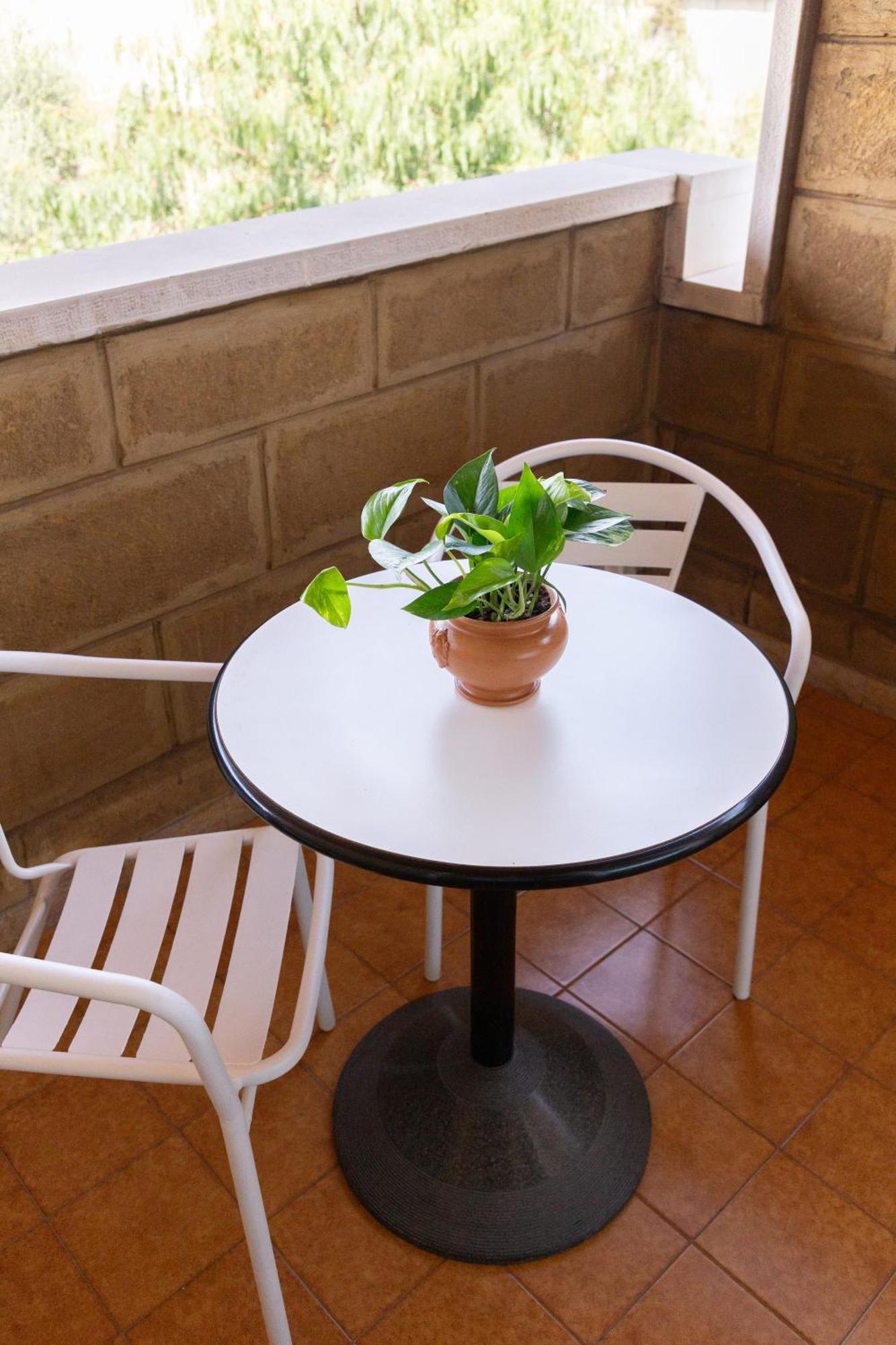 B&B Le Foglie D'Ulivo Bari Luaran gambar